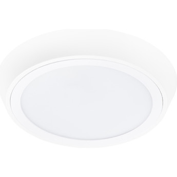 Светильник накладной LIGHTSTAR URBANO 216902